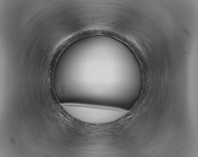 X0000110880872200906180943