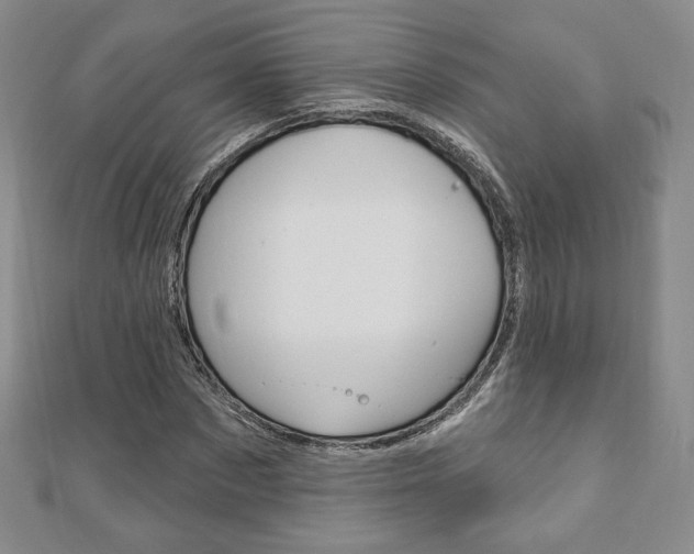 X0000110880873200906180943