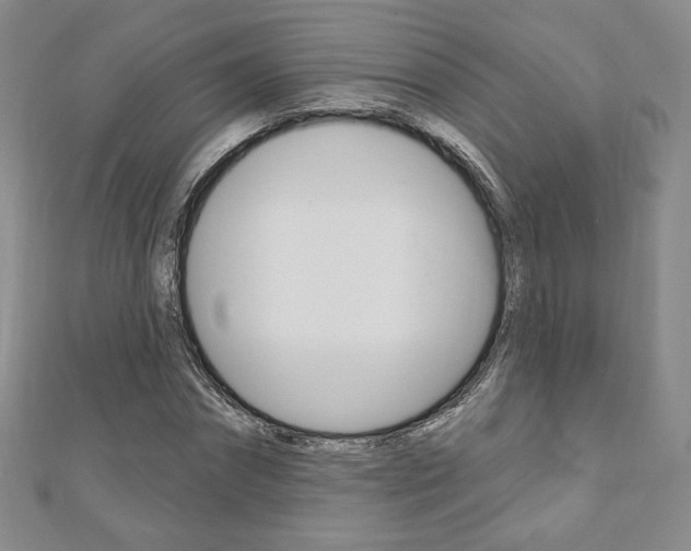 X0000110880874200906180943
