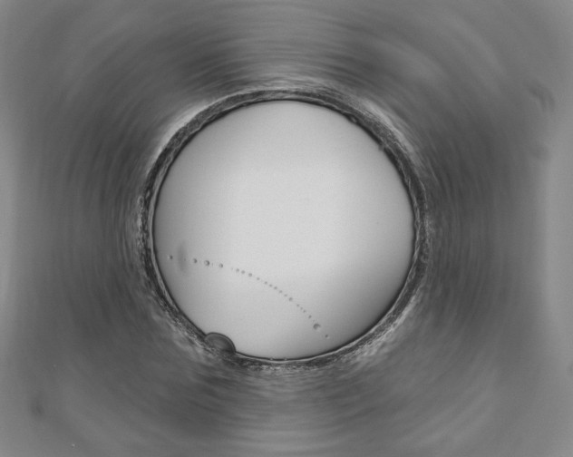 X0000110880875200906180943