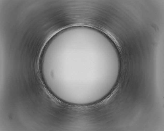 X0000110880876200906180943