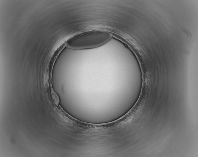 X0000110880877200906180943