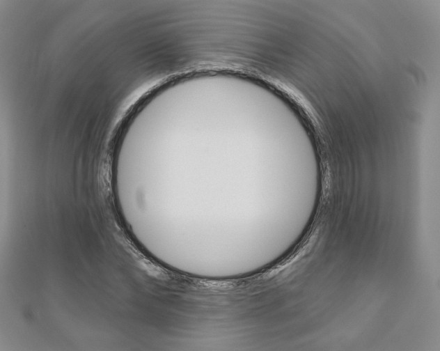 X0000110880878200906180943