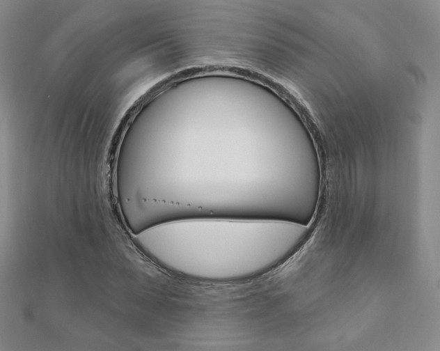 X0000110880879200906180943