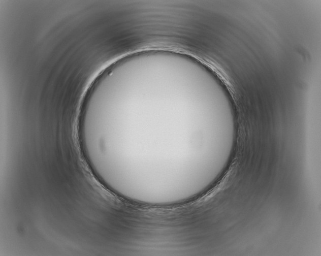 X0000110880880200906180943