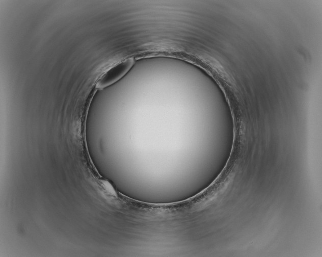X0000110880881200906180943
