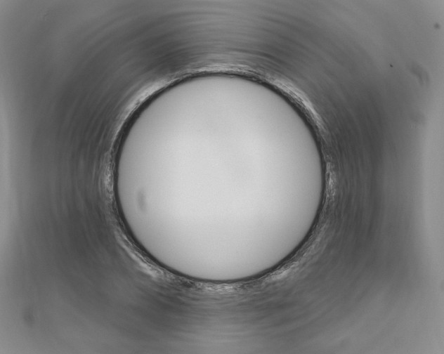 X0000110880882200906180943