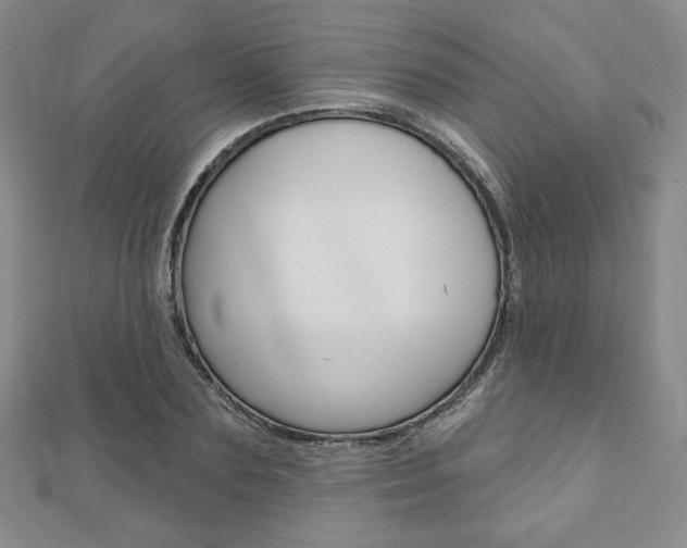 X0000110880883200906180943
