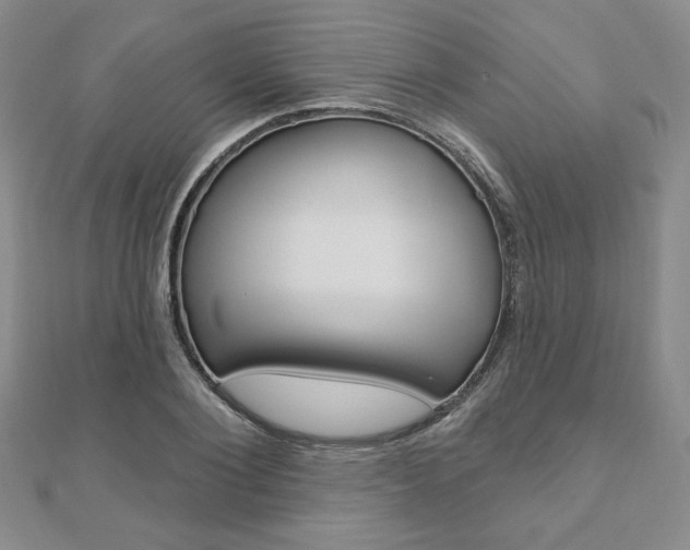 X0000110880884200906180943