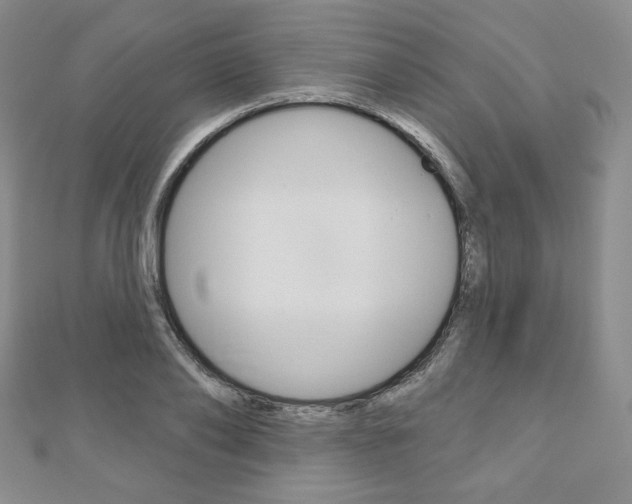 X0000110880886200906180943
