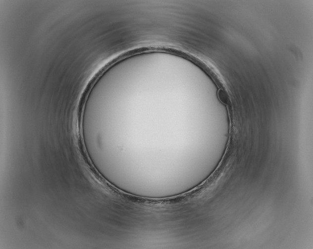 X0000110880887200906180943