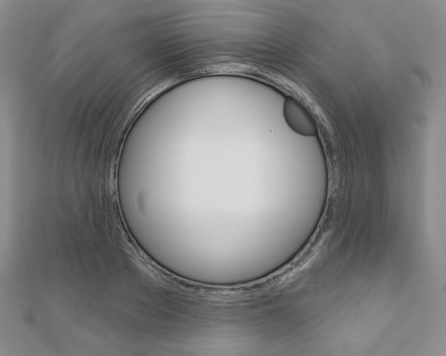 X0000110880889200906180943