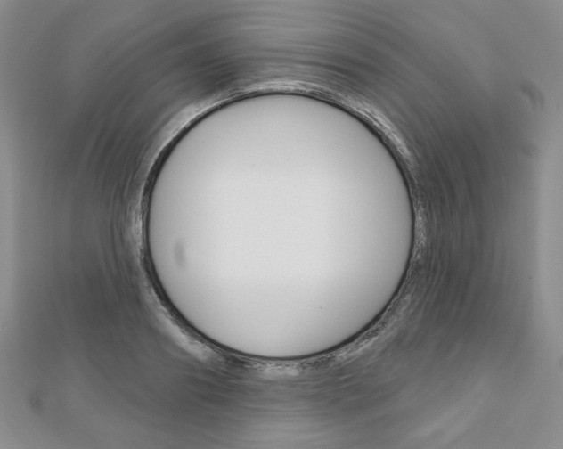 X0000110880890200906180943