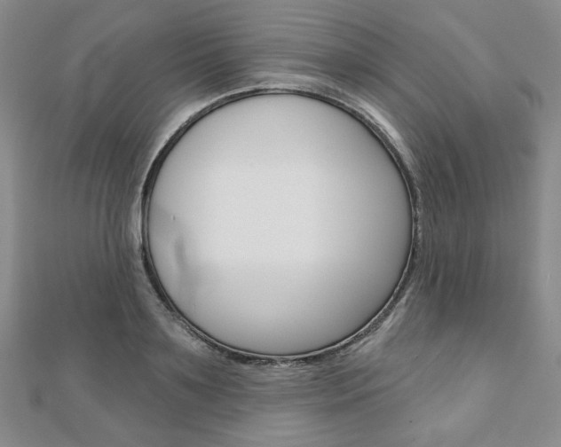 X0000110880891200906180943