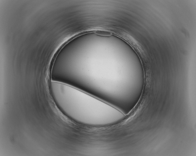 X0000110880892200906180943