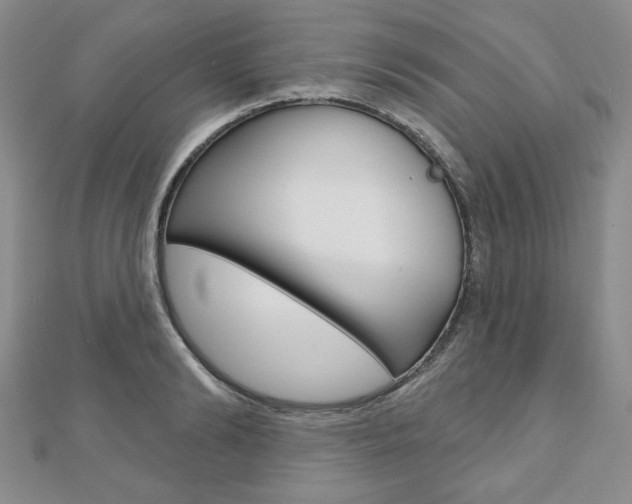X0000110880894200906180943