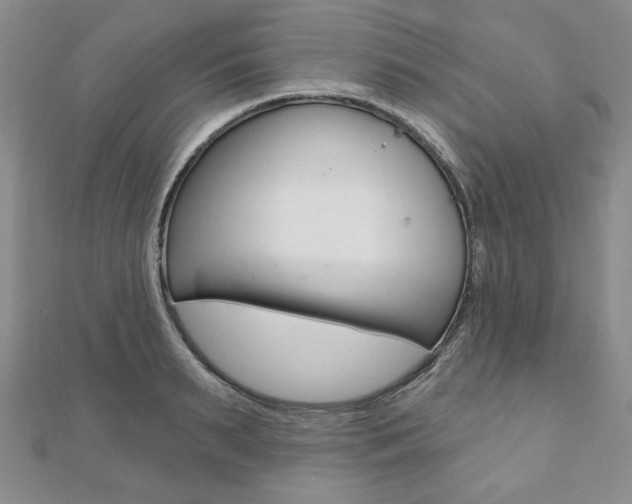 X0000110880895200906180943