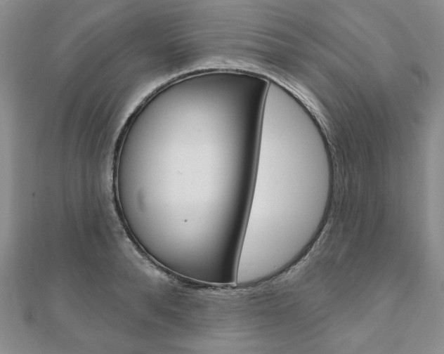 X0000110880896200906180943