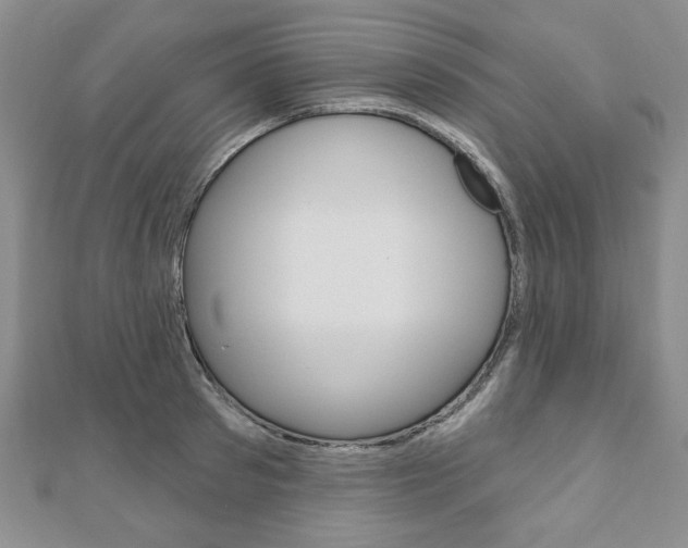 X0000110880897200906180943