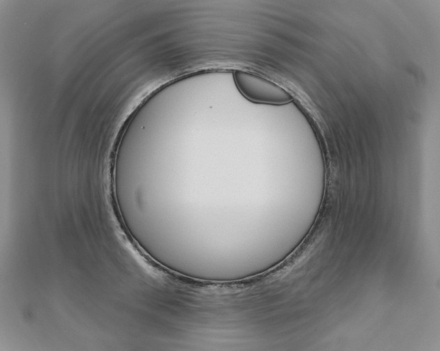 X0000110880898200906180943