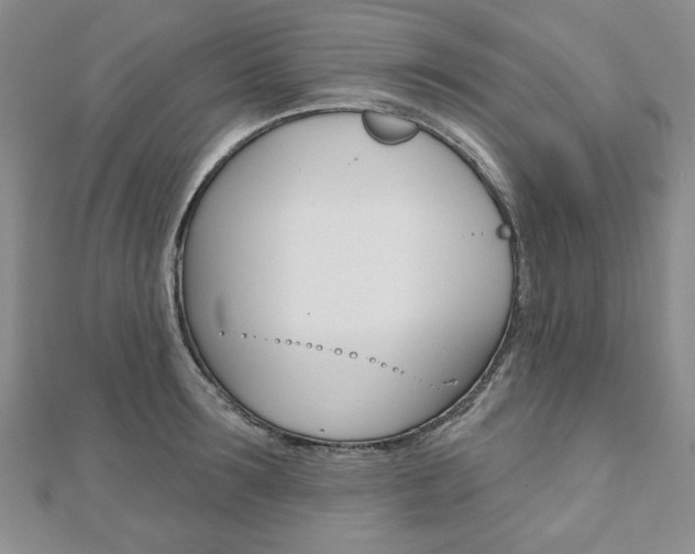 X0000110880899200906180943