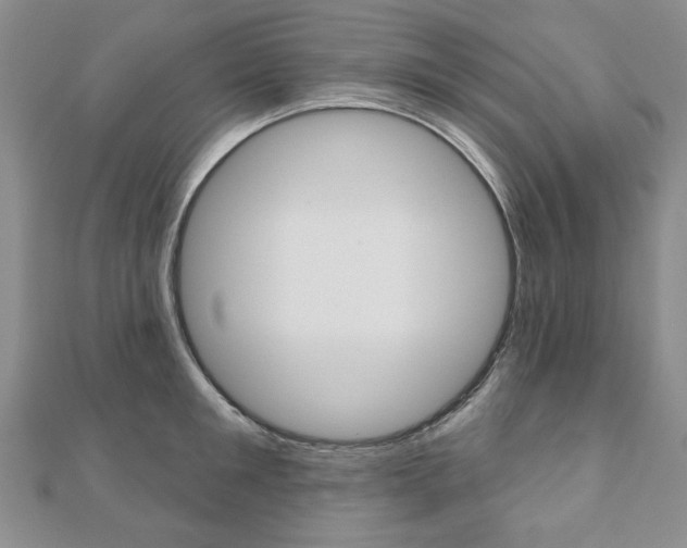X0000110880901200906180943