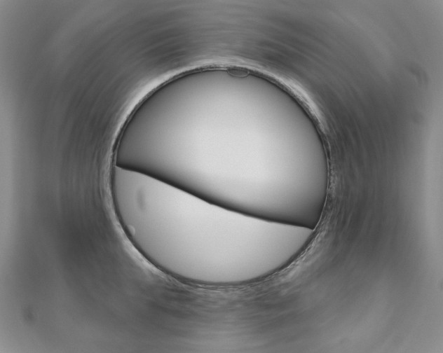 X0000110880903200906180943