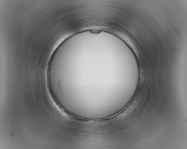 X0000110880906200906180943