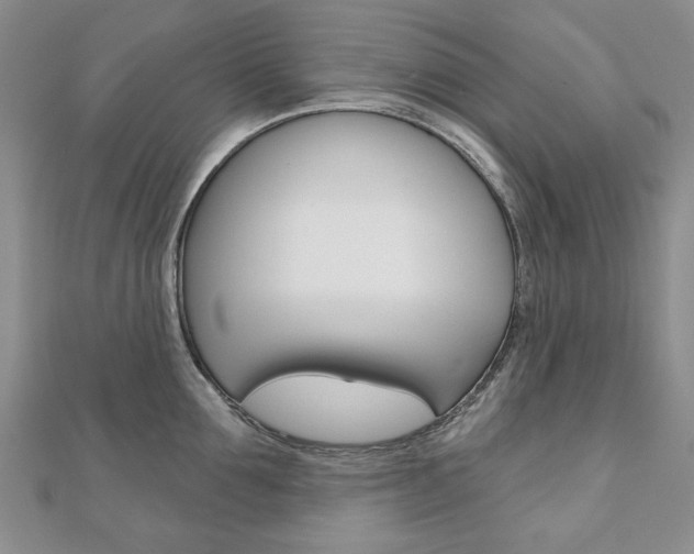 X0000110880907200906180942