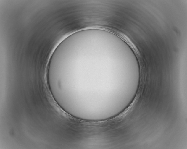 X0000110880908200906180942