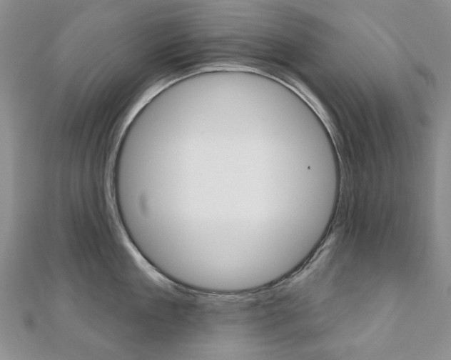 X0000110880909200906180942