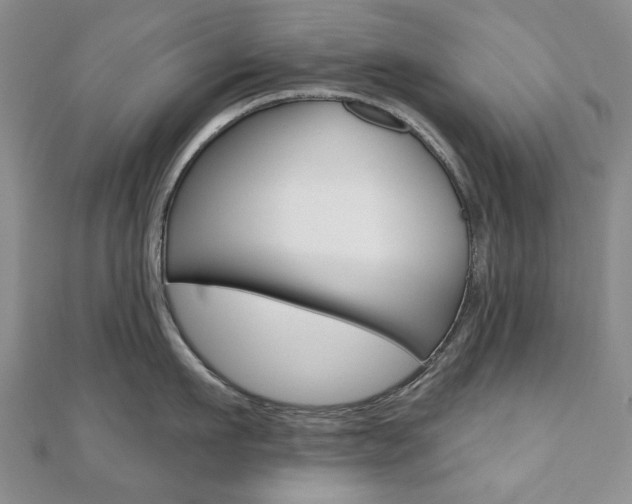 X0000110880911200906180942
