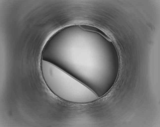 X0000110880912200906180942