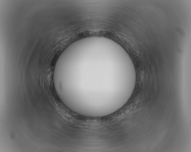 X0000110880914200906180942