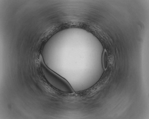 X0000110880916200906180942