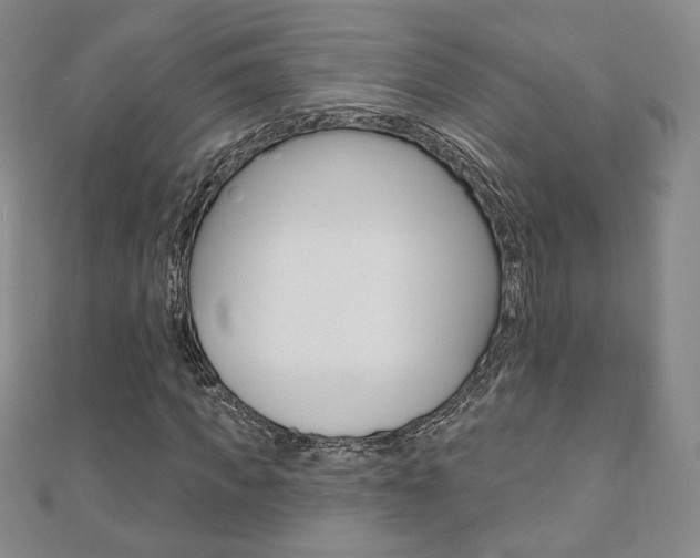 X0000110880917200906180942
