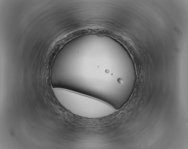 X0000110880920200906180942