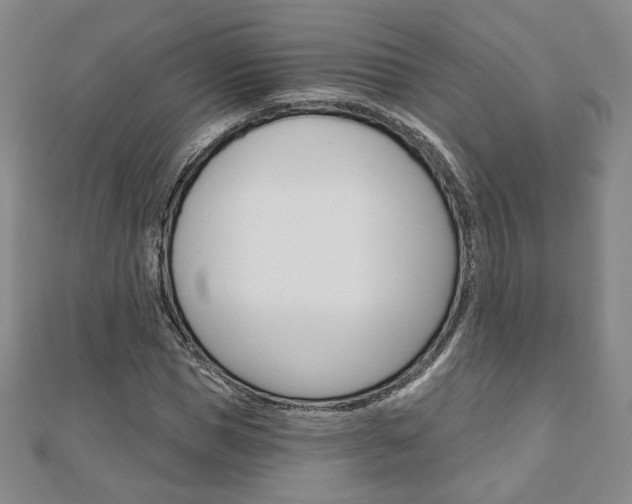 X0000110880921200906180942