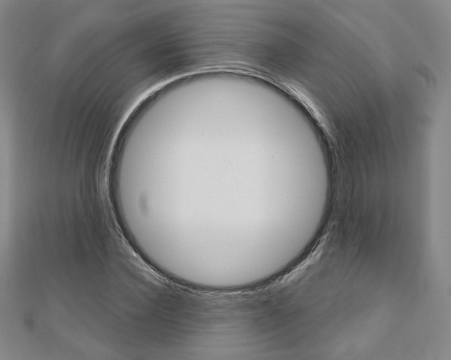 X0000110880924200906180942
