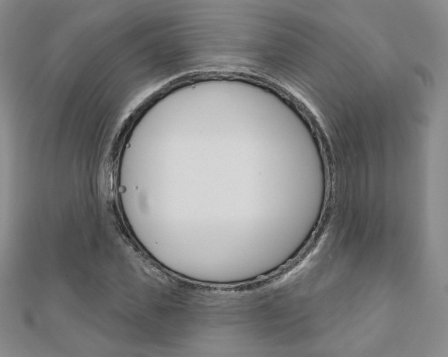 X0000110880925200906180942