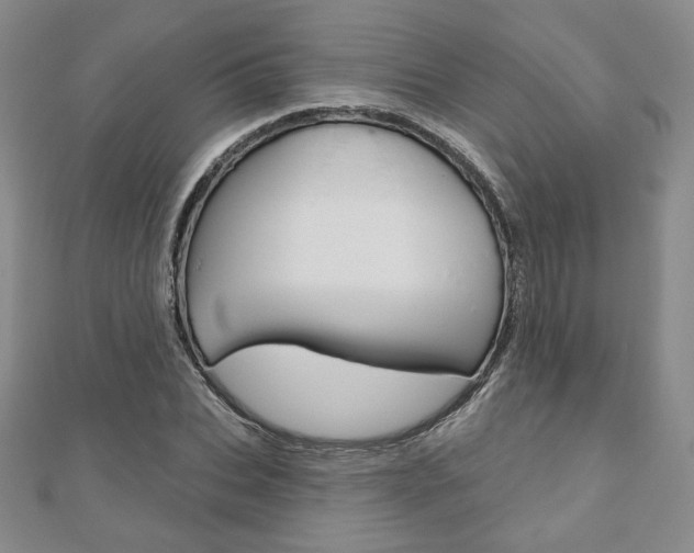 X0000110880927200906180942