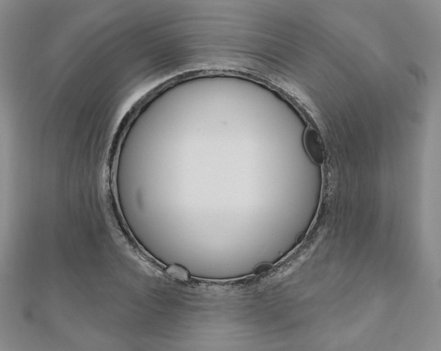 X0000110880928200906180942