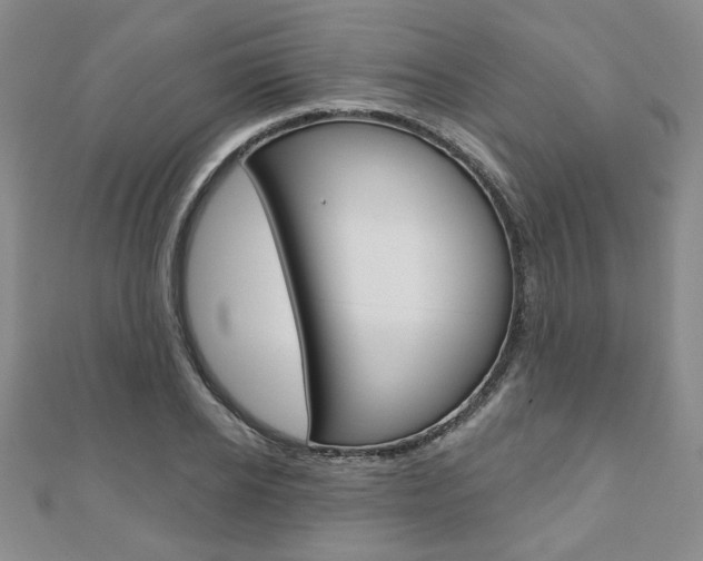 X0000110880934200906180942