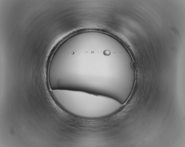 X0000110880935200906180942