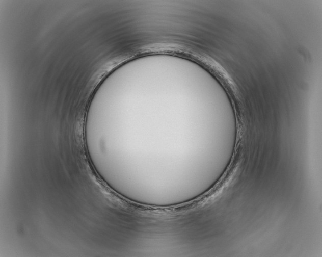 X0000110880937200906180942