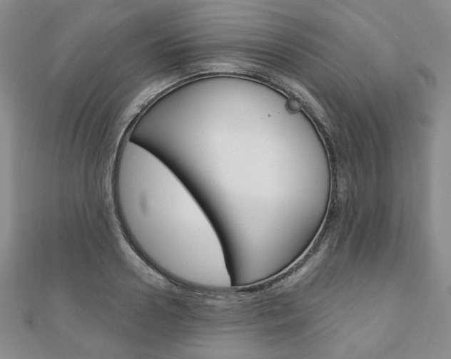 X0000110880938200906180942