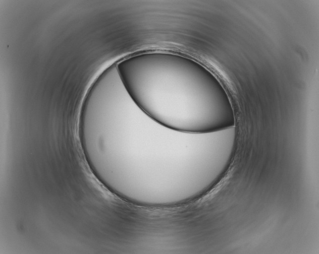 X0000110880940200906180942