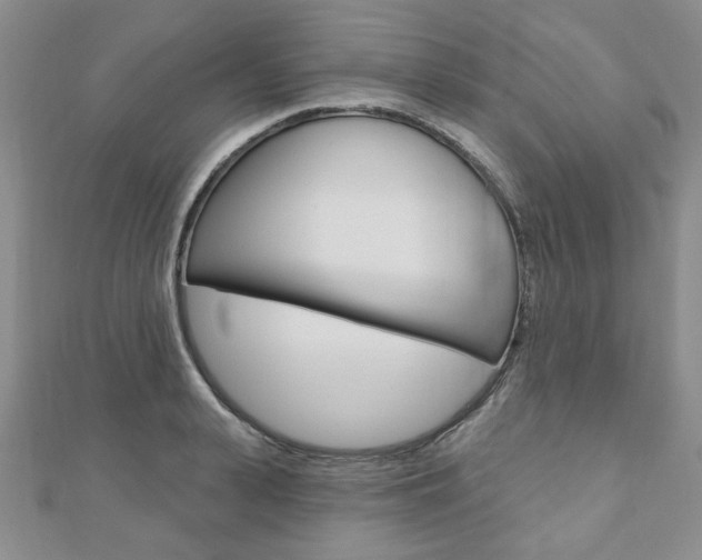 X0000110880943200906180942