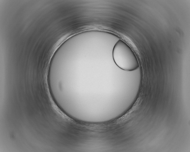 X0000110880946200906180942