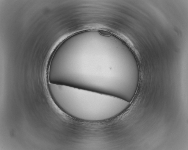 X0000110880947200906180942